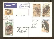 Owady (frankartura na liście z RPA