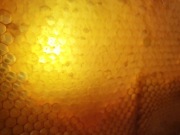 Plaster Miodu Cała Ramka!