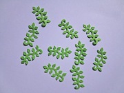 Scrapki gałązka 10 szt. 33x17 mm jasnozielony gramatura 160 g/m2