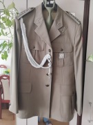 Mundur wojsk lądowych