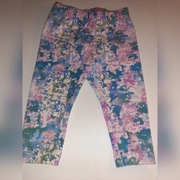 Spodnie firmy coccodrillo r.74