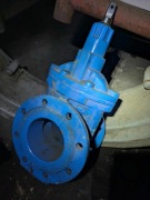 Zasuwa kołnierzowa HAWLE 4000E3 DN 125 PN 16 