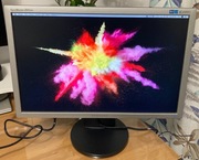 Monitor Samsung 2043 BW