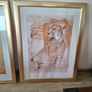 Obraz za szkłem akrylowym lew 