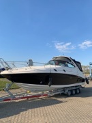 jacht sea ray 305