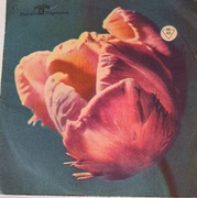 Niebiesko-Czarni - Gdy odlatuja bociany (1964)