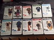 Karty Top trumps 30 szt Rasy psów