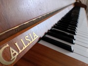Pianino Calisia 105M poszukuje pianisty