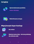 Duolingo super dostęp na 12 miesięcy 