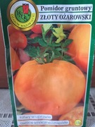 Pomidor 'Złoty Ożarowski' nasiona