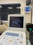 Ultrasonograf Honda HS2100