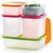 POJEMNIKI DO MROŻENIA POLARNIK 5 sztuk TUPPERWARE ORYGINAŁ