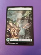 Forest (Bloomburrow - Magic the Gathering)