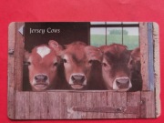 JERSEY  /  STARA  /     -  Karta telefoniczna  /  KROWY