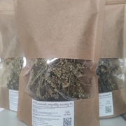 Krwawnik pospolity suszony 25 g.