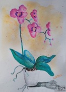 Storczyk akwarela prezent handmade