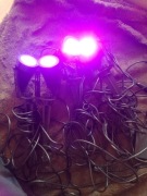 Lampki ogrodowe na prad