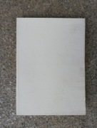 książka "Scarlett ciąg dalszy Przeminęło z wiatrem"  t.1 Aleksandra Ripley 