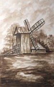 akwarela- wiatrak kożlak