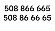 złoty numer 508 86 66 65 złoty, fajny numer