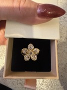 Pierścionek kwiatuszek z pudełkiem Premium kolor złoty