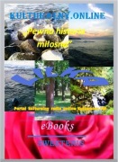 Powieść "Pewna historia miłosna" 