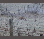 Vinzenz Schwab – Dings #1