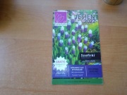 Katalog kwiatów roślin sadzonek Kwiatyllo.pl Jesień 2022 piękny ogród