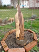 Deska do Serwowania z Orzecha włoskiego.