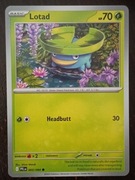 Lotad 005/094 Karta POKEMON TCG Mega evolution Phantasmal flames