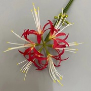 Sztuczny kwiat Higanbana Czerwona pajęcza lilia