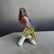 Kolorowy ptak porcelana 