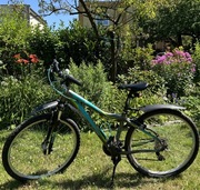 Rower górski Kellys vanity 10 + KOSZYK GRATIS!