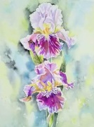 "Irysy boginie piekna"