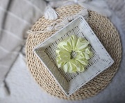 MAXI Gumka do włosów SCRUNCHIE 