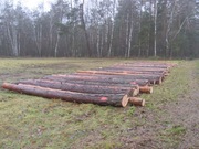 Drewno tartaczne sosna