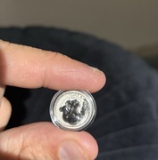 Australian Koala 2023, 1/10oz platyna