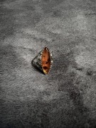 Pierścionek vintage z bursztynem