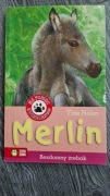 Merlin. Bezdomny źrebak. Tina Nolan.