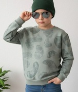 Bluza Chłopięca Khaki Bluza Dresowa Dziecięca 116 Coccodrillo WC5