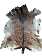 skóra z daniela letnia suknia 