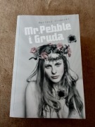 Książka Mariusz Ziomecki - Mr. Pebble i Gruda