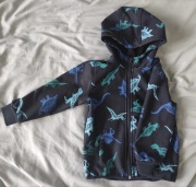 Kurtka z dinozaurem 
