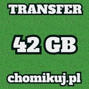 Transfer 42 GB  na chomikuj BEZTERMINOWO ! PROMOCJA