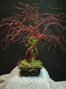 Drzewko z drutu, drzewko szczęścia, bonsai