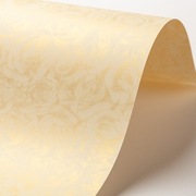 Papier ozdobny Róże kremowy, A4 100g/m2