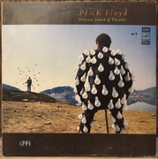 Pink Floyd „Delicate Sound of Thunder” No1 Winyl