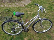 Rower Specialized (damka, alu, przerzutki)