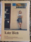 Plakat Lady Bird A3 30x42 Idealny na Prezent
