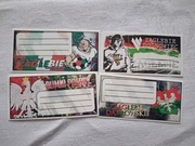 Vlepki Zagłębie Sosnowiec Szkolne